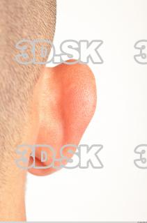 Ear texture of Hanus 0001